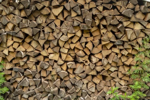 Kiln Dried Firewood