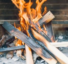 firewood kindling for indoor and outdoor fires